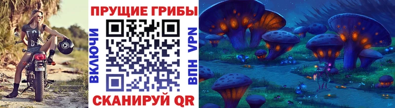 Галлюциногенные грибы Psilocybe  Балахна 
